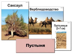 Модель-аппликация "Природные зоны России" (ламинированная) - fgospostavki.ru - Калуга