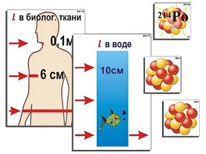 Модель-аппликация "Явление радиоактивности" (ламинированная) - fgospostavki.ru - Калуга