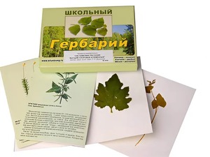 Гербарий "Систематика растений. Высшие споровые и семенные" (раздаточный) - fgospostavki.ru - Калуга