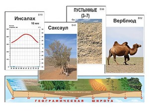 Модель-аппликация "Природные зоны" - fgospostavki.ru - Калуга