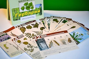 Гербарий к курсу основ общей биологии - fgospostavki.ru - Калуга
