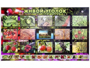 Комплект оборудования "Живой уголок" (растения) с тифлопереводом и сурдокомментариями - fgospostavki.ru - Калуга