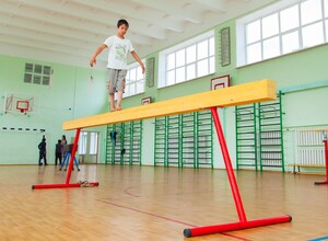 Бревно гимнастическое напольное постоянной высоты (700 мм) (5 м) - fgospostavki.ru - Калуга