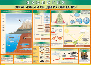 Таблица "Организмы и среды их обитания" (100х140 сантиметров, винил) - fgospostavki.ru - Калуга