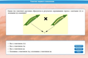 Интерактивные курсы. Биология 11 класс. Базовый. - fgospostavki.ru - Калуга