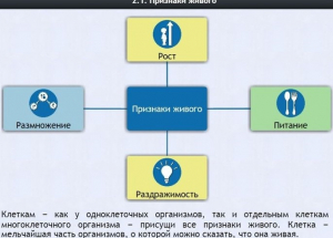 Интерактивные курсы. Биология 5 класс. Базовый - fgospostavki.ru - Калуга