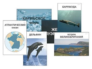 Модель-аппликация "Океаны. Знакомство" (ламинированная) - fgospostavki.ru - Калуга