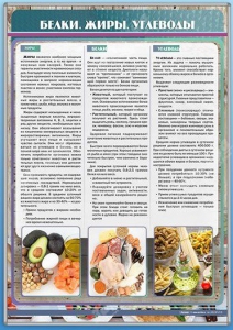Стенд "Белки. Жиры. Углеводы" - fgospostavki.ru - Калуга