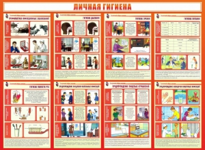 Стенд "Личная гигиена" - fgospostavki.ru - Калуга