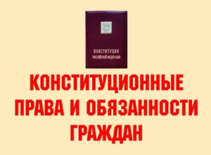 Комплект плакатов "Конституционные права и обязанности граждан" - fgospostavki.ru - Калуга