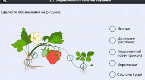 Интерактивные курсы. Биология 7 класс. Расширенный. - fgospostavki.ru - Калуга