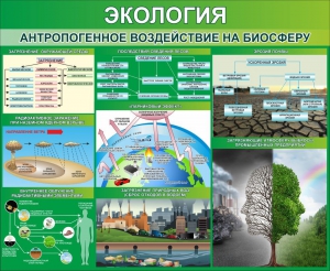 Стенд "Экология. Антропогенное воздействие на биосферу" - fgospostavki.ru - Калуга