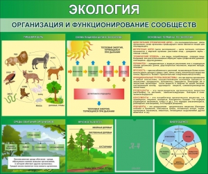 Стенд "Экология. Организация и функционирование сообществ" - fgospostavki.ru - Калуга