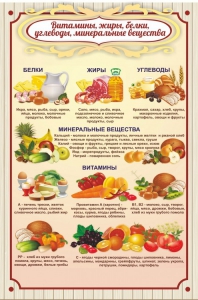 Стенд "Витамины, жиры, белки" - fgospostavki.ru - Калуга