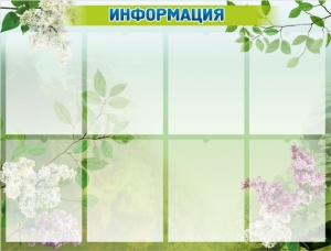 Стенд "Информация" Вариант 13 - fgospostavki.ru - Калуга