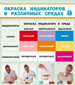 Стенд "Окраска индикаторов в различных средах" - fgospostavki.ru - Калуга