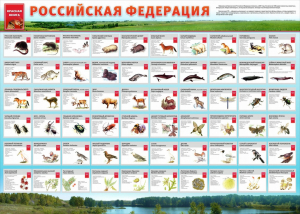 Стенд "Красная книга РФ" - fgospostavki.ru - Калуга