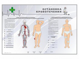 Электрифицированный стенд "Остановка кровотечения" - fgospostavki.ru - Калуга