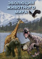 DVD "Эволюция животного мира" - fgospostavki.ru - Калуга