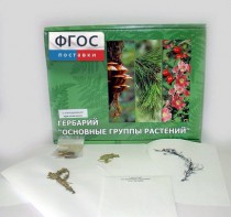 Гербарий "Основные группы растений" (52 листа) - fgospostavki.ru - Калуга