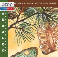 Ботаника. Микрофотографии. (Цифровая база изображений) - fgospostavki.ru - Калуга