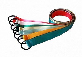 Лента гимнастическая на кольце (0,25 метра) - fgospostavki.ru - Калуга