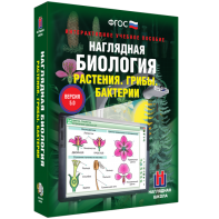 Наглядная биология. 6 класс. Растения. Грибы. Бактерии - fgospostavki.ru - Калуга