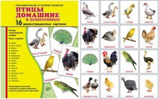 Демонстрационные карточки "Птицы домашние и декоративные" - fgospostavki.ru - Калуга
