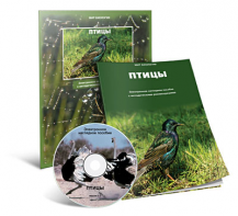 Электронное наглядное пособие «Птицы» - fgospostavki.ru - Калуга