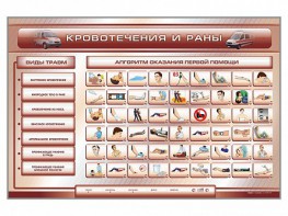Трехсекционный базовый комплект "Травмы. Кровотечения. Ожоги" для учащихся общеобразовательных учреждений - fgospostavki.ru - Калуга
