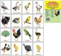 Раздаточные карточки "Птицы домашние и декоративные" - fgospostavki.ru - Калуга