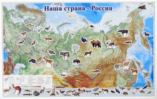 Магнитные карточки "Животные" - fgospostavki.ru - Калуга