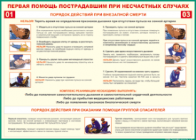 Таблица "Порядок действий при внезапной смерти" (100х140 сантиметров, винил) - fgospostavki.ru - Калуга