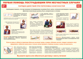 Таблица "Порядок действий при переломах конечностей" (100х140 сантиметров, винил) - fgospostavki.ru - Калуга