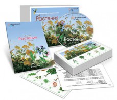 Комбинированное наглядное пособие «Растения» - fgospostavki.ru - Калуга
