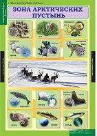 Комплект таблиц. Окружающий мир 4 класс. - fgospostavki.ru - Калуга