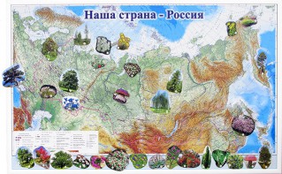 Магнитные карточки "Растения" - fgospostavki.ru - Калуга