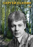 DVD "Сергей Есенин" - fgospostavki.ru - Калуга