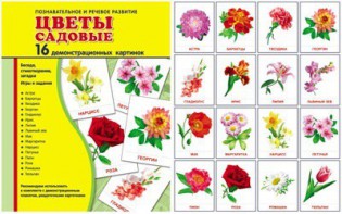 Демонстрационные карточки "Цветы садовые" - fgospostavki.ru - Калуга