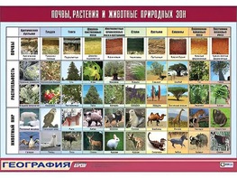 Таблица демонстрационная "Почвы, растения и животные природных зон" (винил 70*100) - fgospostavki.ru - Калуга
