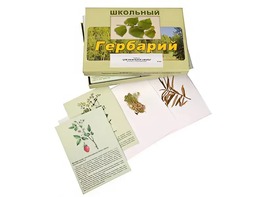 Гербарий "Для начальной школы" (30 видов, с иллюстрациями) - fgospostavki.ru - Калуга