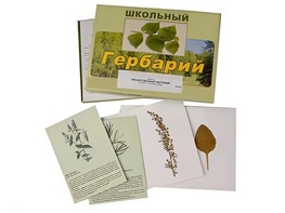 Гербарий "Лекарственные растения" (22 вида с иллюстрациями) - fgospostavki.ru - Калуга