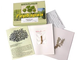 Гербарий "Водоросли. Грибы. Лишайники" (раздаточный) - fgospostavki.ru - Калуга