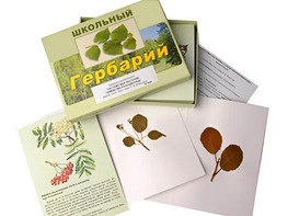 Гербарий "Систематика растений. Семейство Розоцветные" (раздаточный) - fgospostavki.ru - Калуга