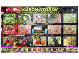 Комплект оборудования "Живой уголок" (растения) с тифлопереводом и сурдокомментариями - fgospostavki.ru - Калуга