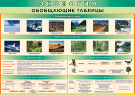 Таблица "Экология. Обобщающие таблицы" (100х140 сантиметров, винил) - fgospostavki.ru - Калуга