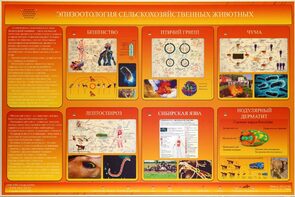 Электрифицированный стенд «Эпизоотология сельскохозяйственных животных» - fgospostavki.ru - Калуга