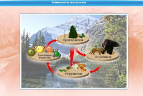 Интерактивные курсы. Биология 7 класс. Базовый. - fgospostavki.ru - Калуга