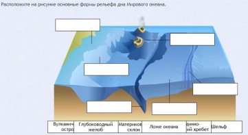 Интерактивные курсы. География 7 класс . Базовый. - fgospostavki.ru - Калуга
