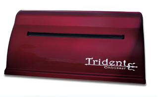 Принтер для печати рельефно-точечным шрифтом Брайля Trident - fgospostavki.ru - Калуга